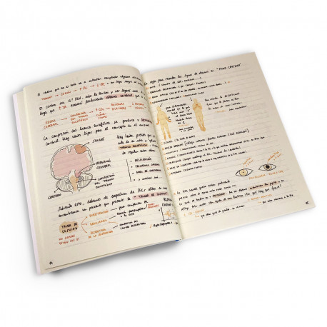 Book: A Guide to Surviving the ICU