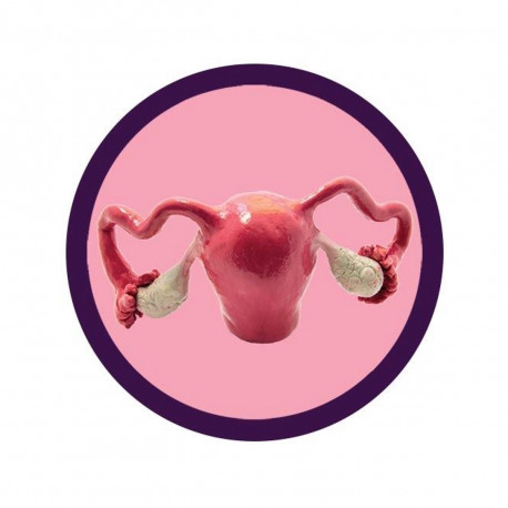 Giantmicrobe Teddy - Uterus