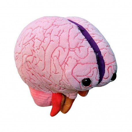 peluche educativo cerebro
