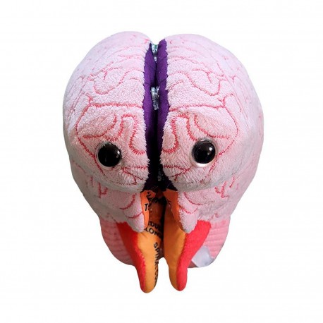 Cerebro peluche con apertura
