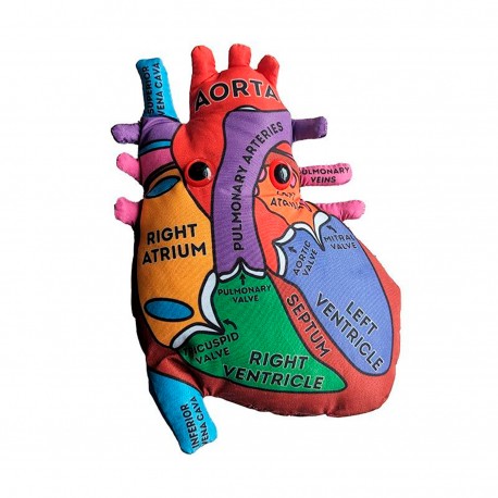 GIANTmicrobes® Heart Model - Stuffed Toy