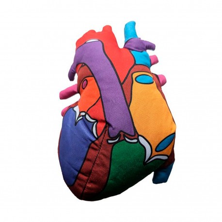 Corazón educativo de Peluche