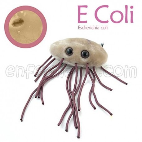 Microbe Giant teddy - E. Coli