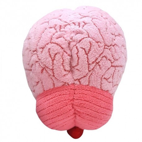 Giantmicrobes - Brain