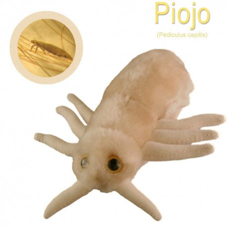 Microbe Giant teddy - Pediculus...