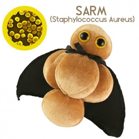 Microbe Giant teddy - MRSA