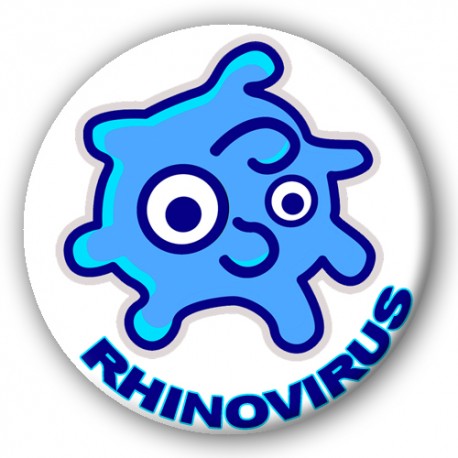Sheet Rhinovirus