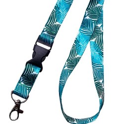 Lanyard with clip