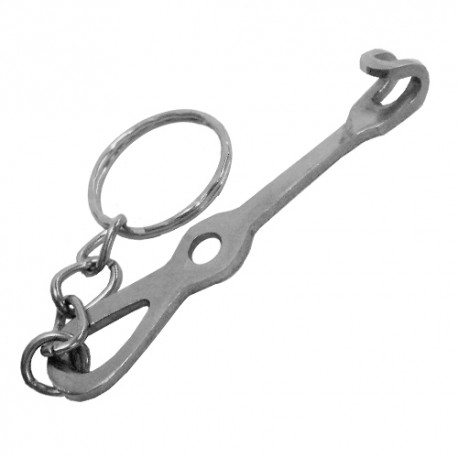 Metallic Keyring with Mini...