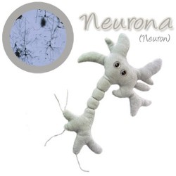 GiantMicrobes (peluche) - Neurona