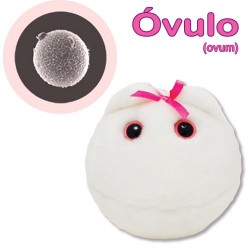 GiantMicrobes (peluche) - Ovulo