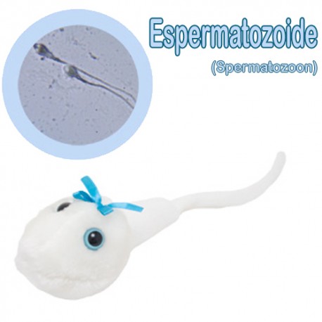 GiantMicrobes (peluche) - Espermatozoide