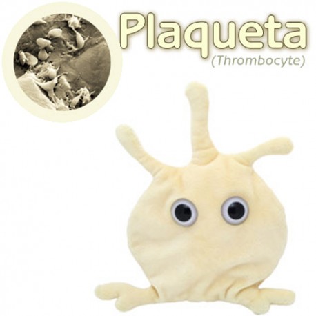 Thrombocyte (plaqueta) peluche