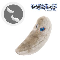 Toxoplasma Gondii (toxoplasmosis)