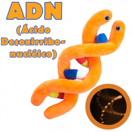 Giantmicrobes - ADN