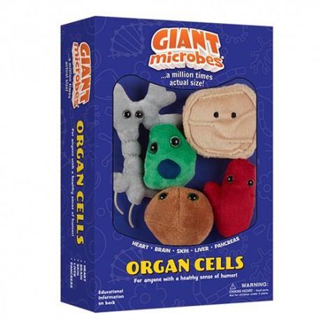 Caja mini-giantmicrobes células de órganos