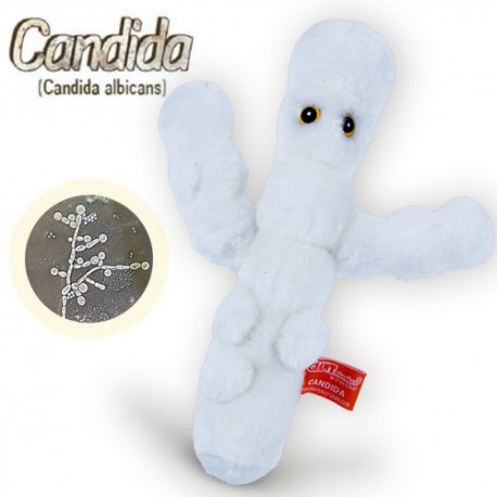 Giantmicrobes - Candida Albicans