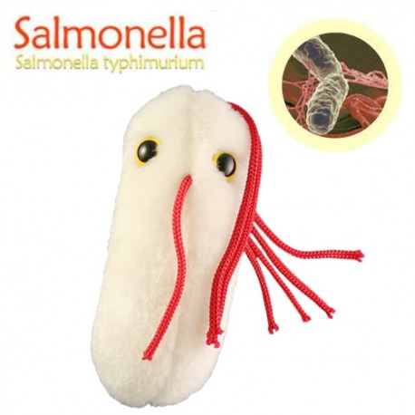 Giantmicrobes (peluche) - Salmonella