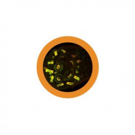 GIANTmicrobe Keychain - Antibody