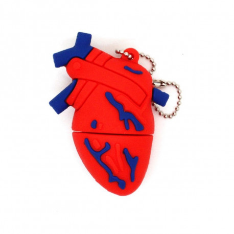 USB Pendrive Mini-órganos 32 Gb