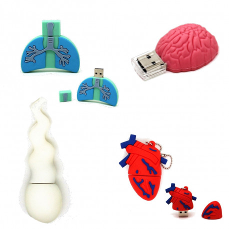 USB Mini Pendrive Organs 32 Gb