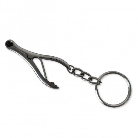 Metal Keychain with Mini...
