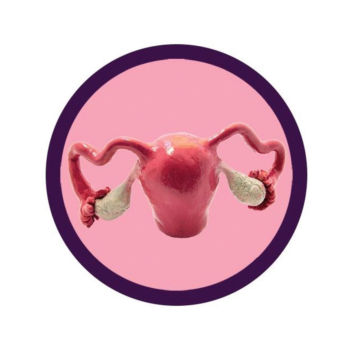 Giantmicrobe Plush Toy - Uterus-4