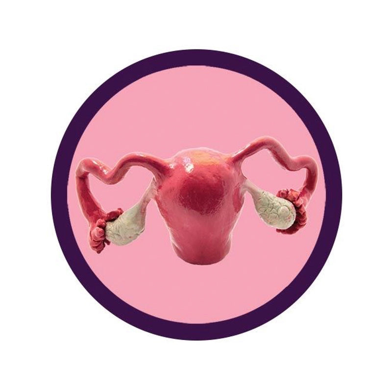 Giantmicrobe Plush Toy - Uterus-zoom-
