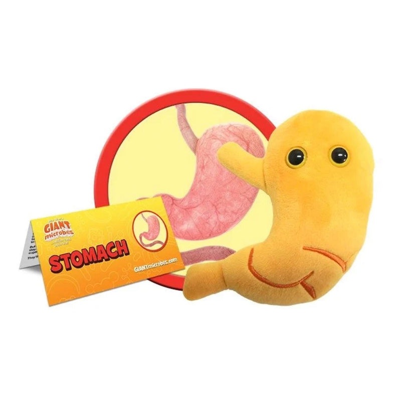 Giantmicrobes (plush toy) - Stomach-zoom-