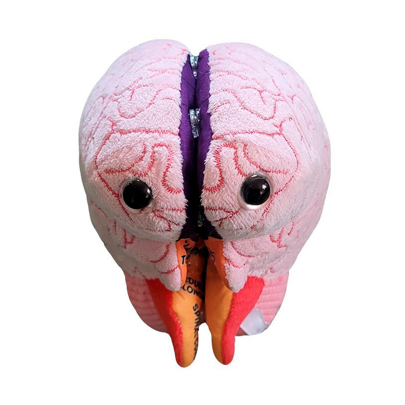 Cerebro peluche con apertura