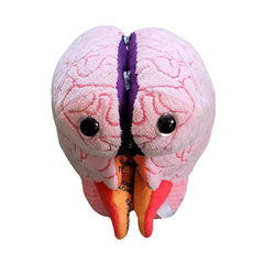 Cerebro peluche con apertura