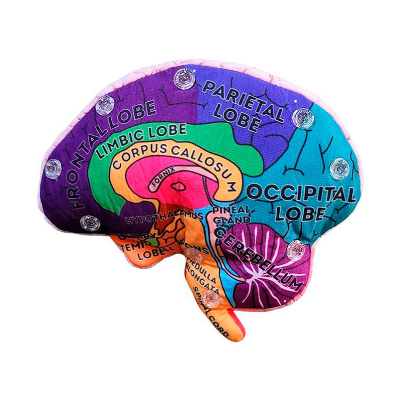 GIANTmicrobes Educational Brain Plush-zoom-