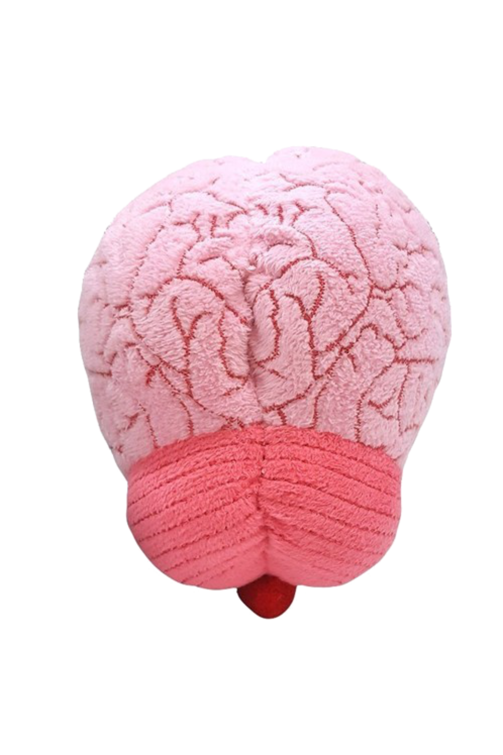 Giantmicrobes (plush toy) - Brain-2