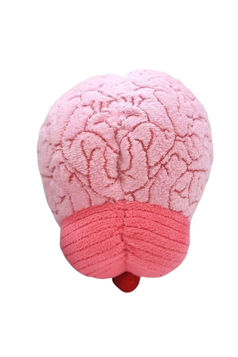 Giantmicrobes (plush toy) - Brain-zoom-
