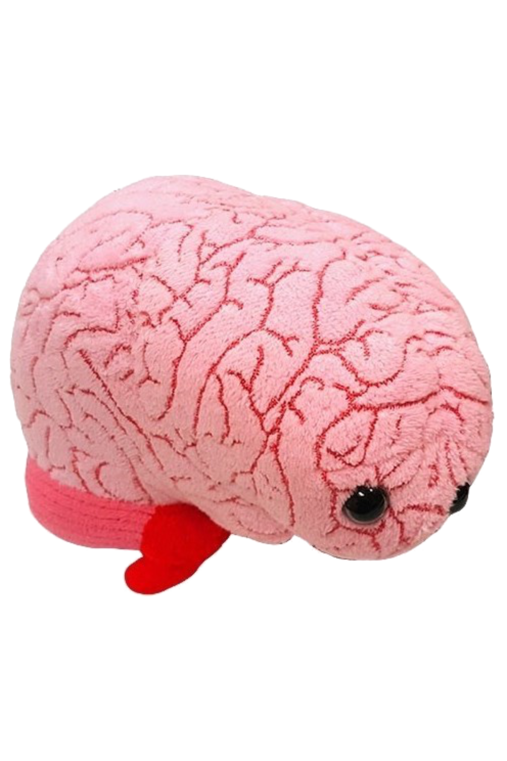 Giantmicrobes (plush toy) - Brain-zoom-1