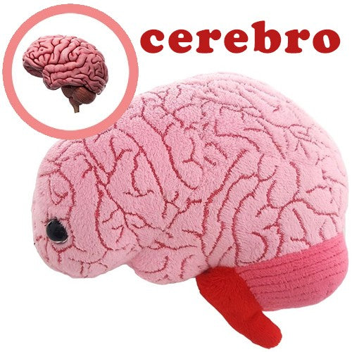 Giantmicrobes (plush toy) - Brain-zoom-