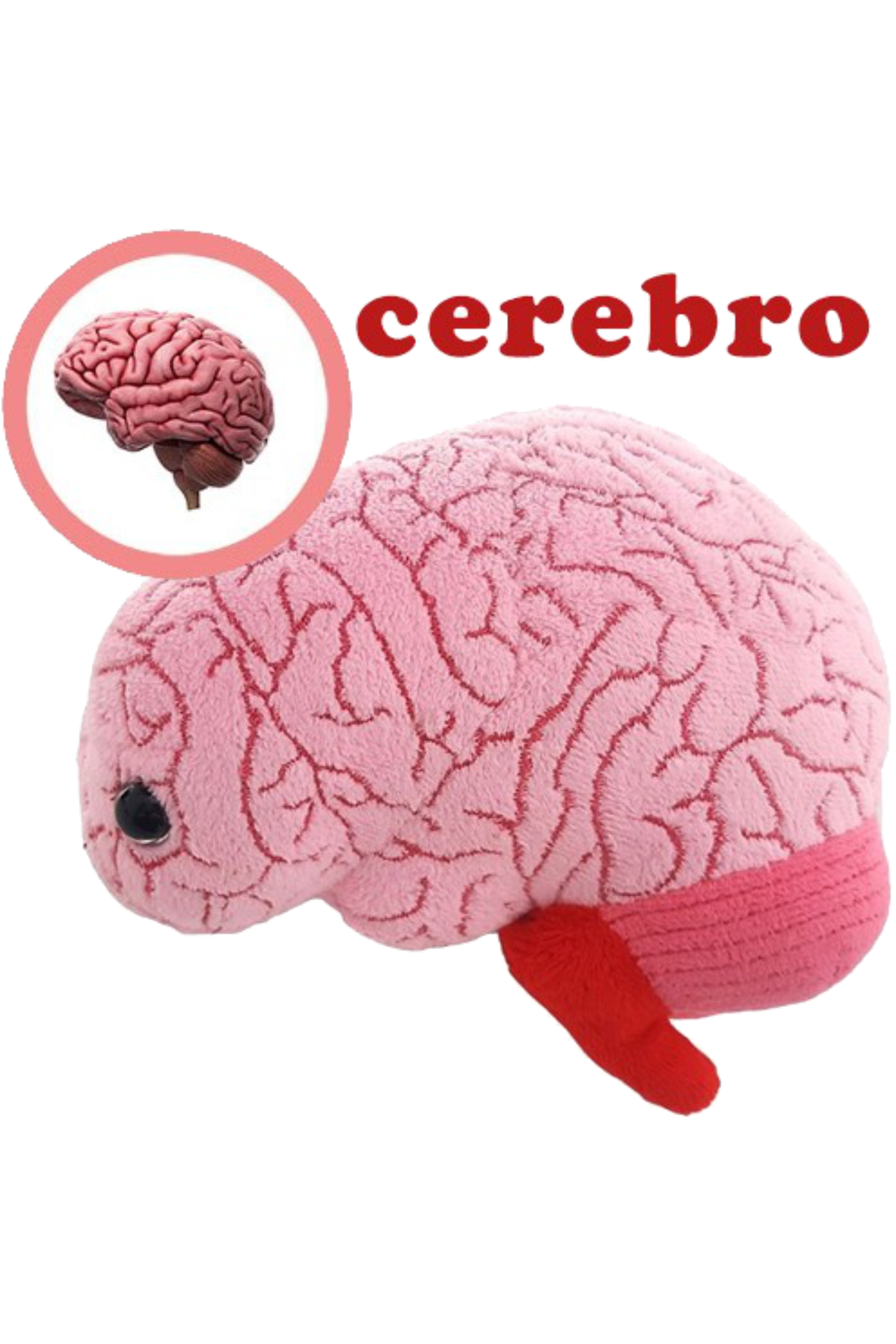 Giantmicrobes (plush toy) - Brain-zoom-3