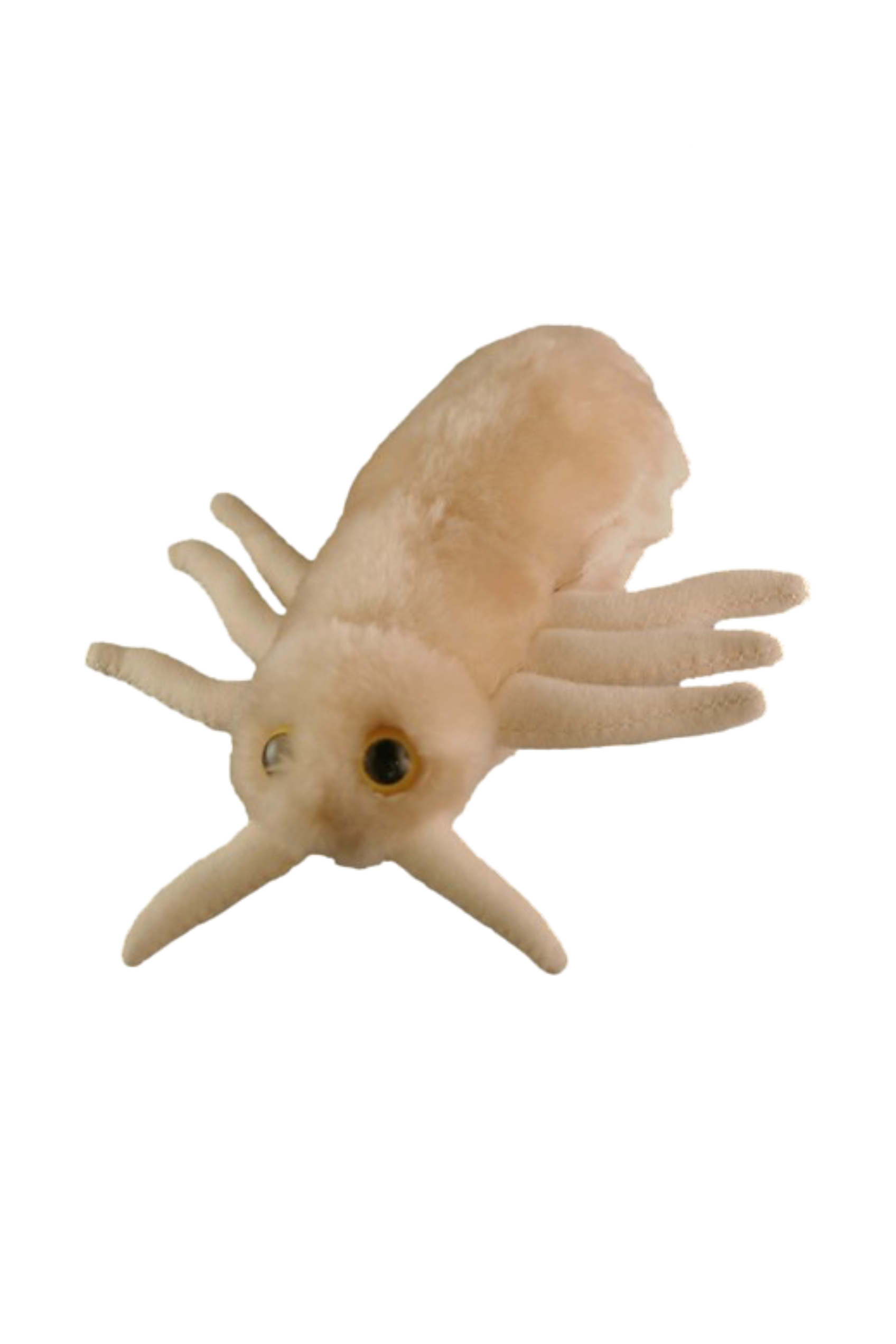 GiantMicrobes (plush toy) - Pediculus Capitis (head louse)-1