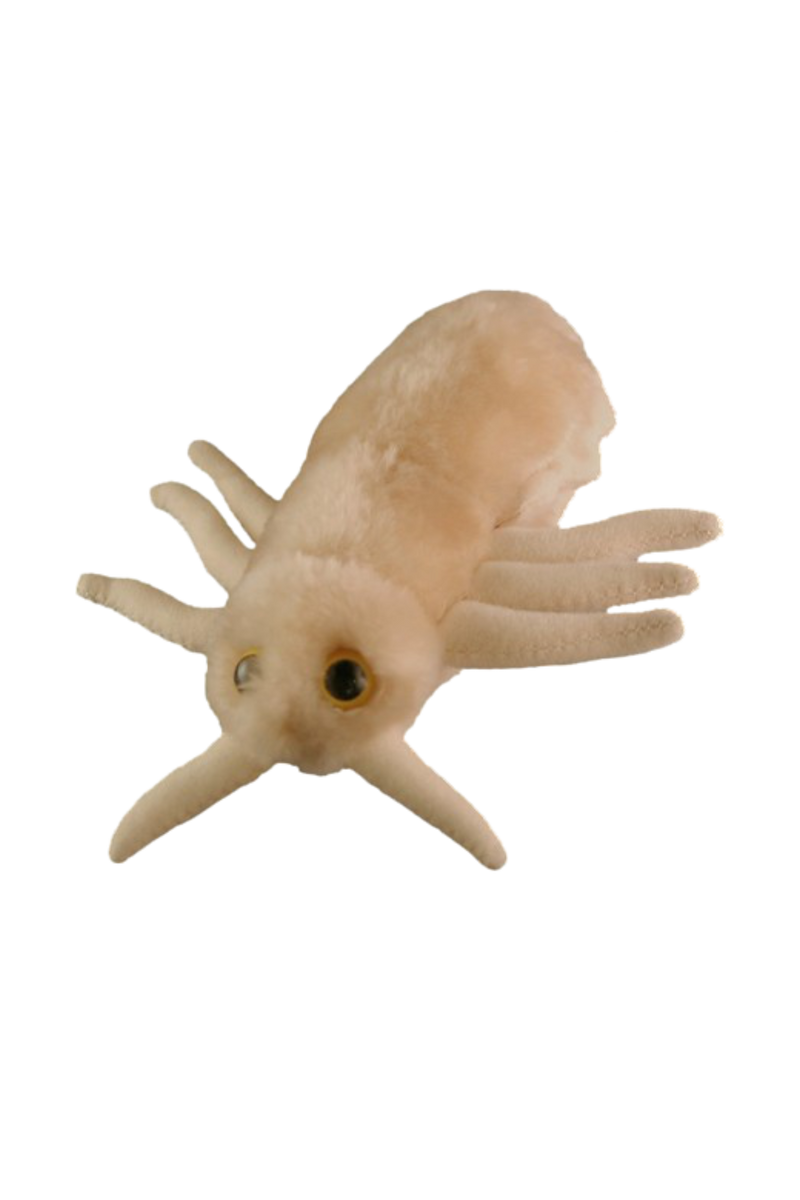 GiantMicrobes (plush toy) - Pediculus Capitis (head louse)-zoom-