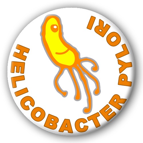 Helicobacter pylori plate-zoom-1