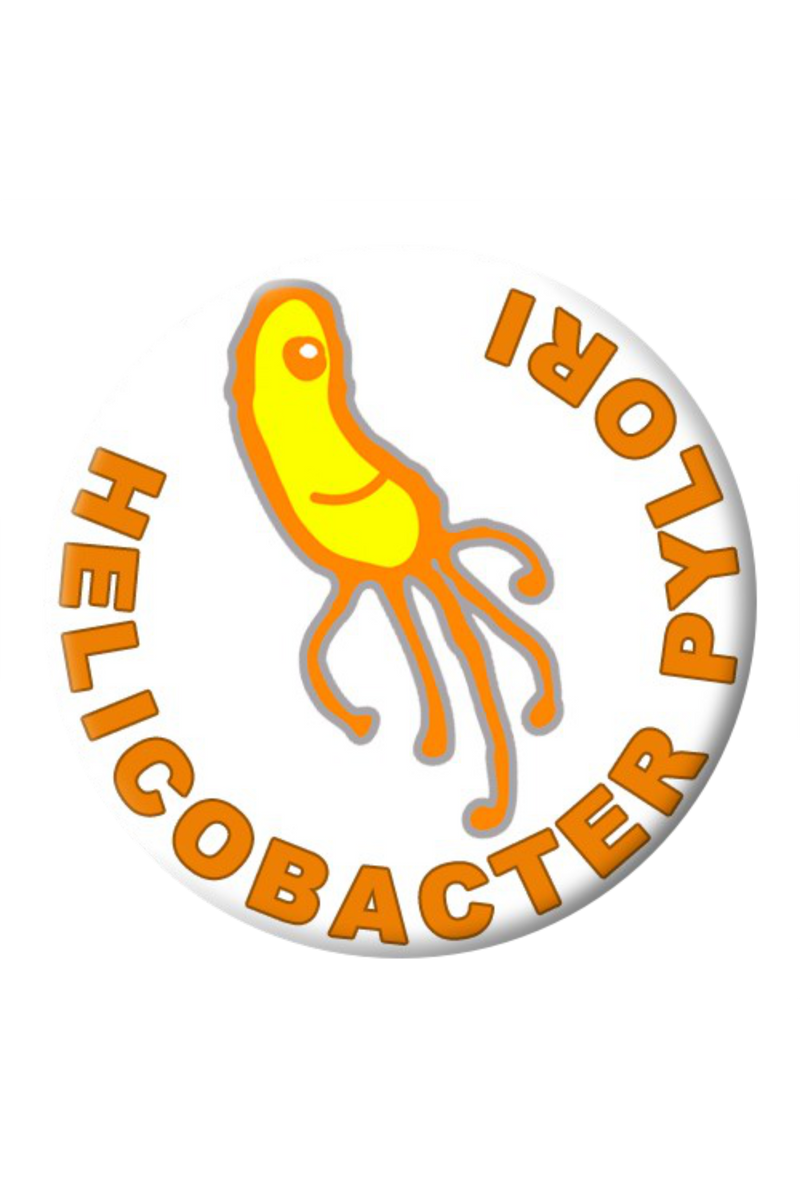 Helicobacter pylori plate-zoom-