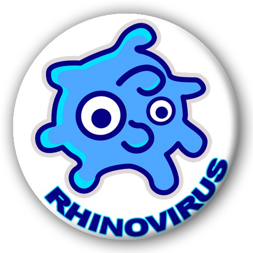 Rhinovirus Chapa-zoom-