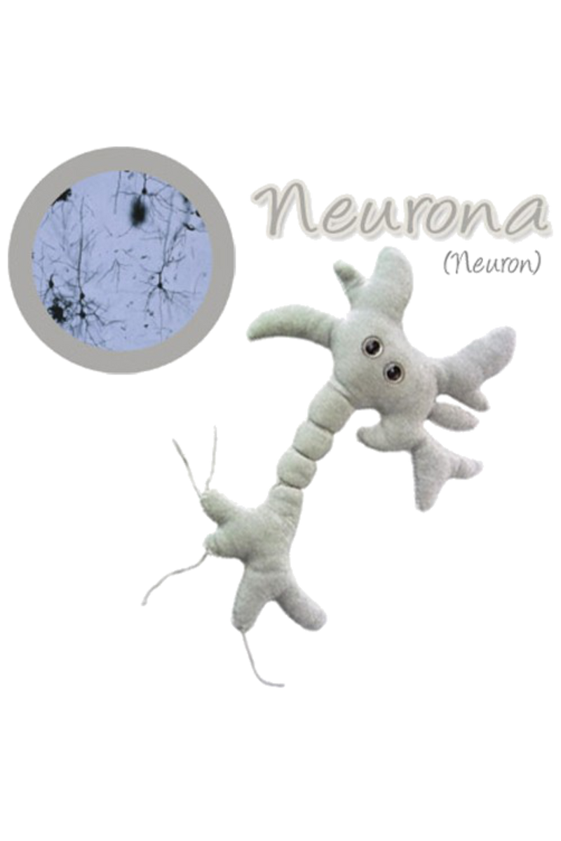 GiantMicrobes (peluche) - Neurónio-zoom-