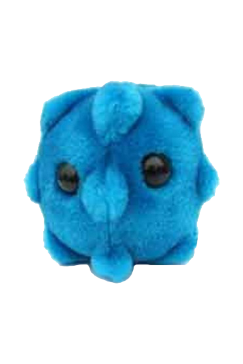 GiantMicrobes (plush toy) - Rhinovirus (cold)-zoom-