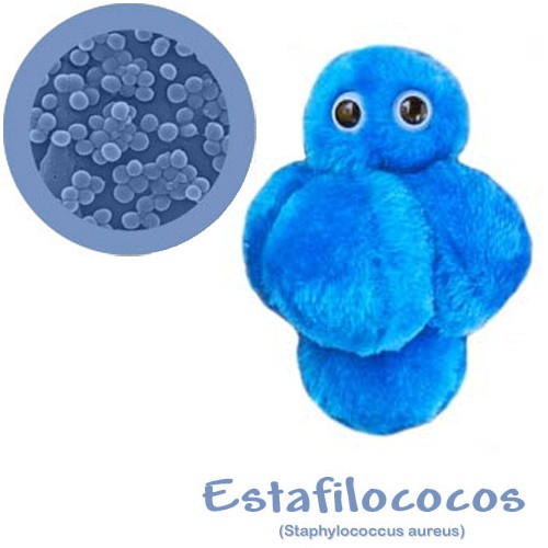 GiantMicrobes (peluche) - Staphylococcus Aureus-zoom-