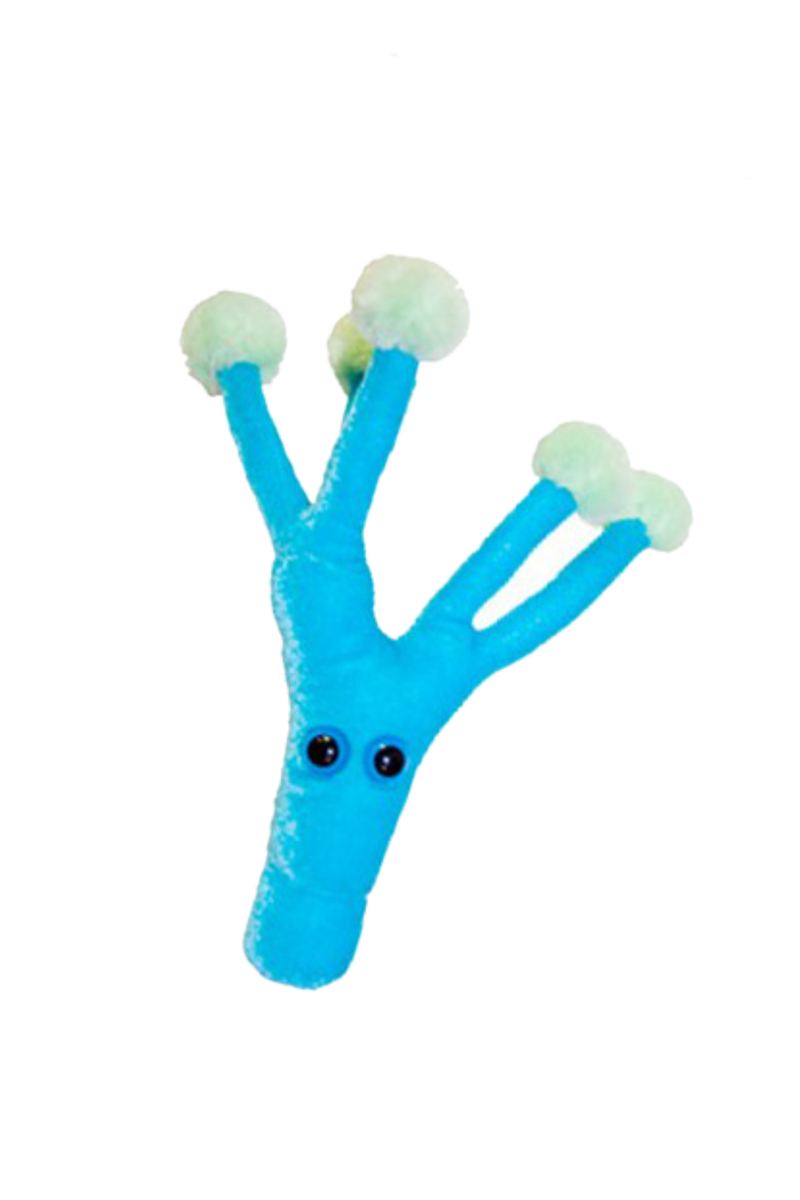 GiantMicrobes (plush) - Penicillinum Chrysogenum (Penicillin)-zoom-