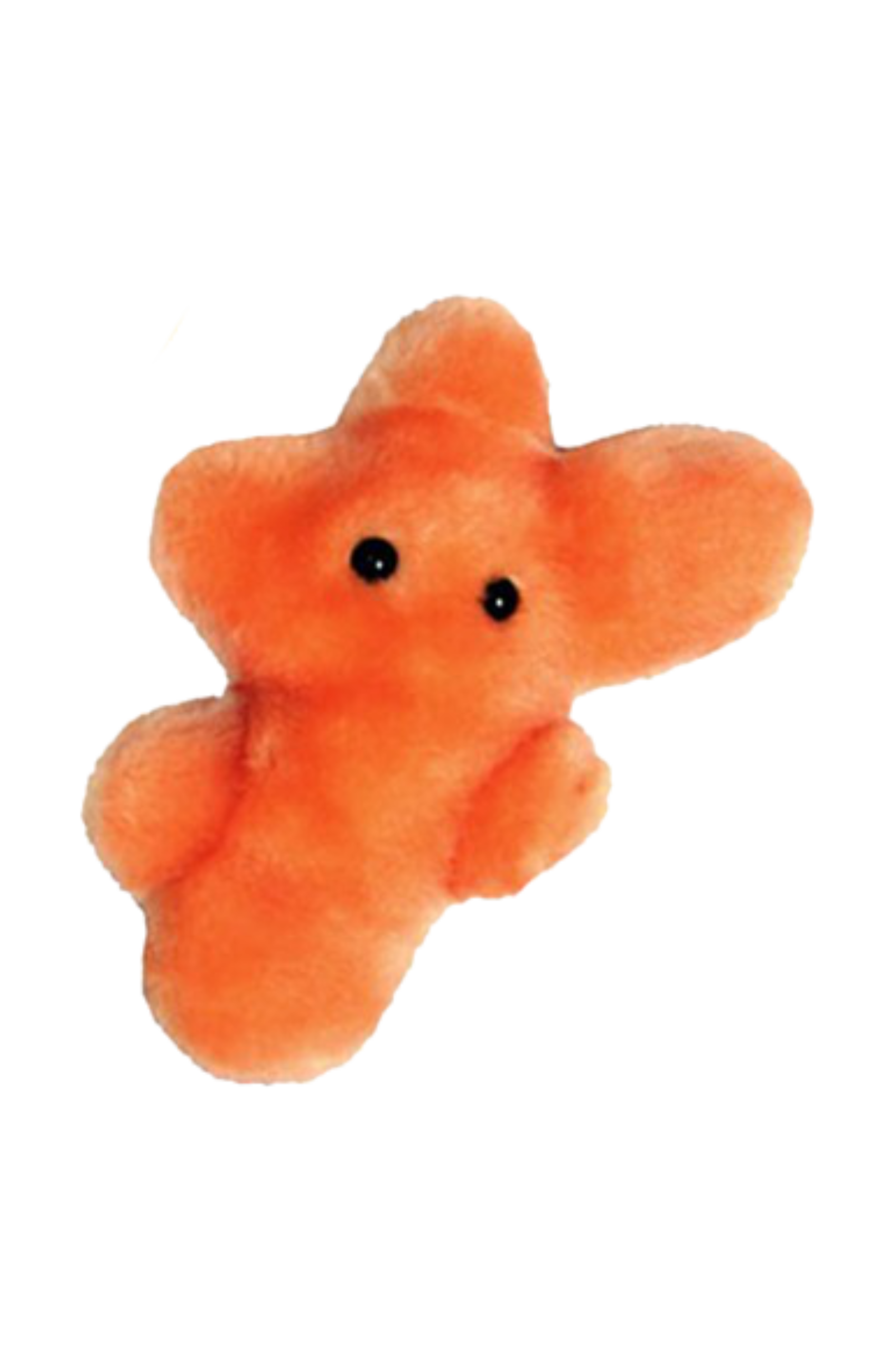 GiantMicrobes (peluche) - Trichophyton Mentagrophytes (pie de atleta)