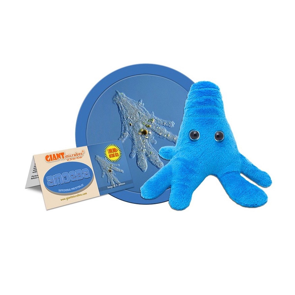GiantMicrobes (peluche) - Amoeba Proteus (Ameba)-zoom-1