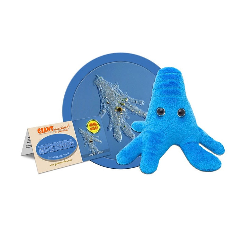 GiantMicrobes (peluche) - Amoeba Proteus (Ameba)-zoom-