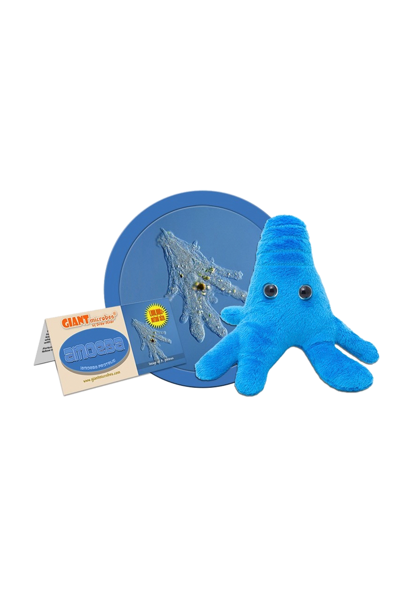 GiantMicrobes (peluche) - Amoeba Proteus (Ameba)-zoom-